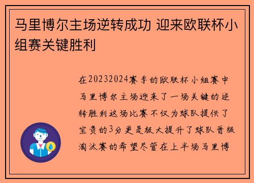 马里博尔主场逆转成功 迎来欧联杯小组赛关键胜利